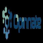 OPINNATE OPN-NSPM-LTE-1YR OPN-NSPM-LTE-1YR Sadece Yazılım Güvenlik  Programı