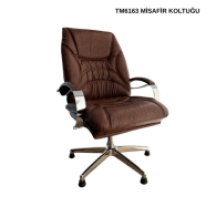 BİOFİS TEM TM6163 Misafir Koltuğu